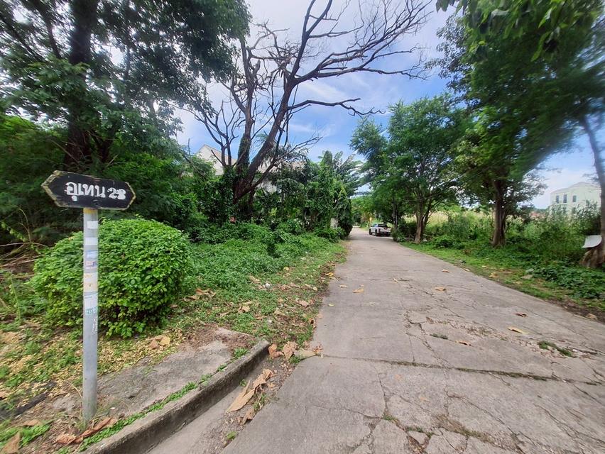 ที่ดิน 8