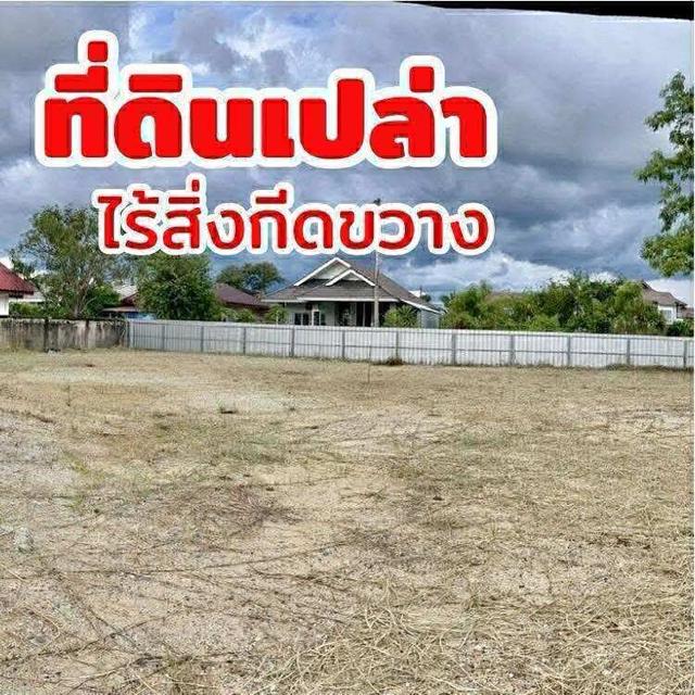 ที่ดิน240ตรว อำเภอหางดง จังหวัดเชียงใหม่ 3