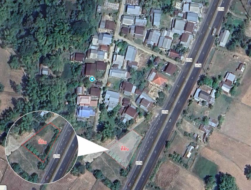 ขายที่ดิน 230 ตร.ว. ติดถนน 4 เลน ตำบลโนนกลาง อ.สำโรง อุบลฯ ใกล้โรงเรียนมัธยม 3