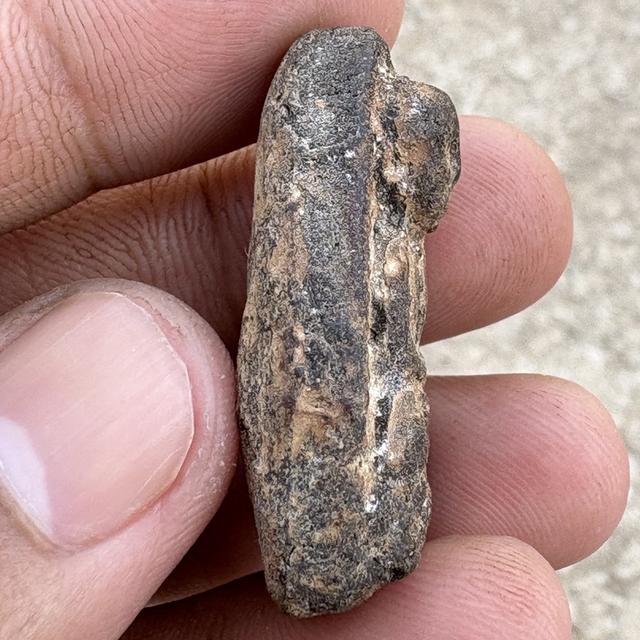 หลวงปู่ทวด วัดช้างให้ เนื้อว่าน ปี2497 รูปที่ 4