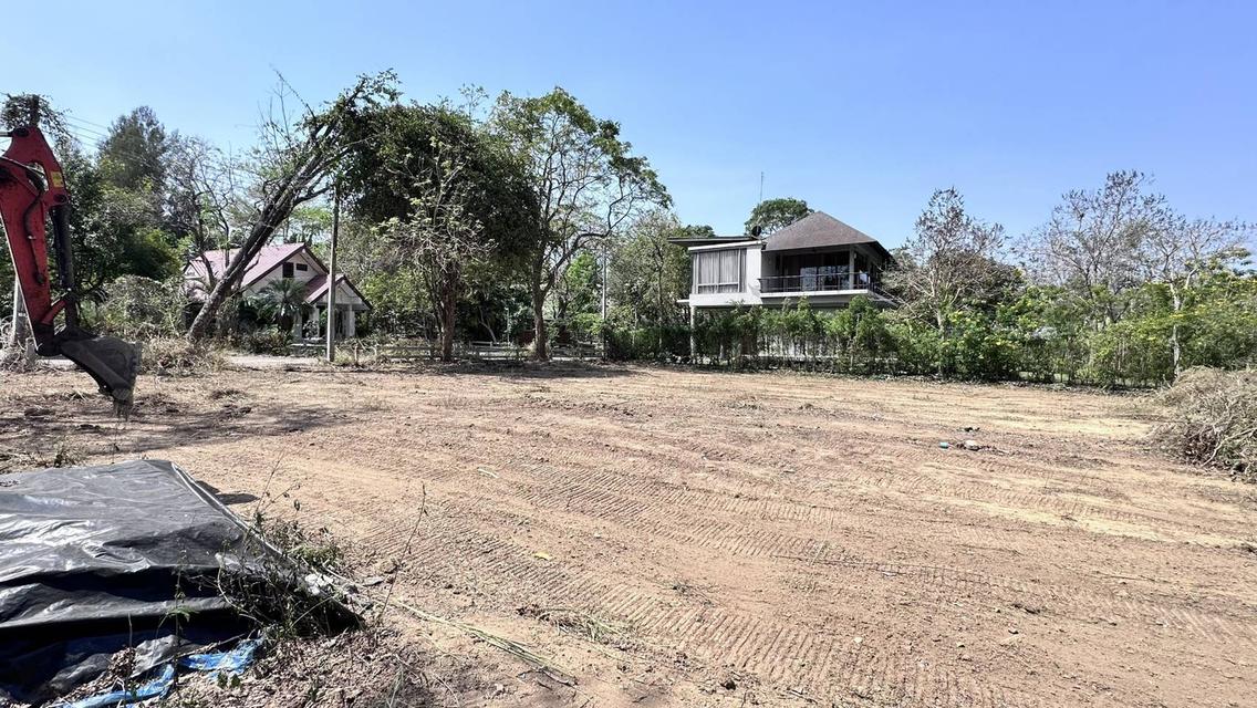 ที่ดิน อ.ปากช่อง จ.นครราชสีมา 3