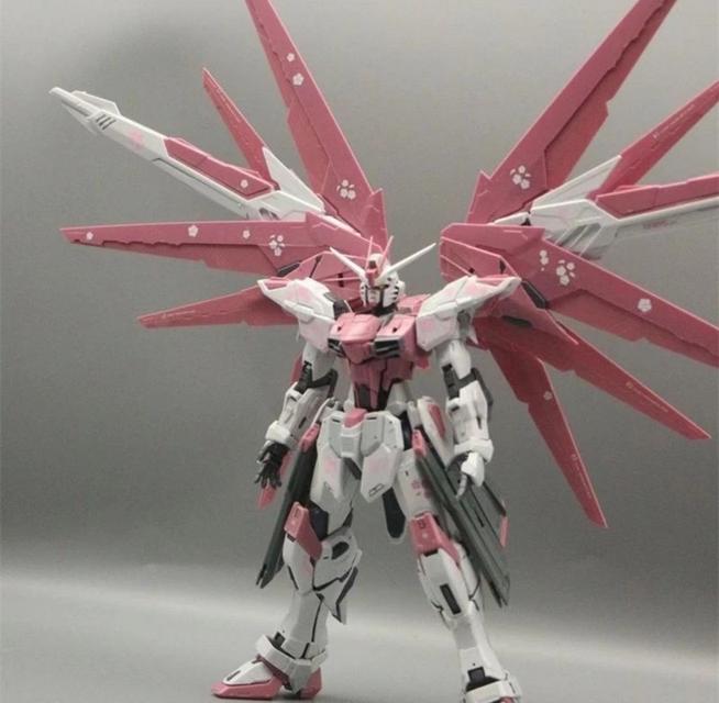 โมเดล Sakura Pink Free Warrior  1