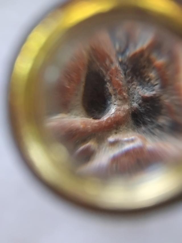 พระซุ้มกอ กำแพงเพชร. รูปที่ 3