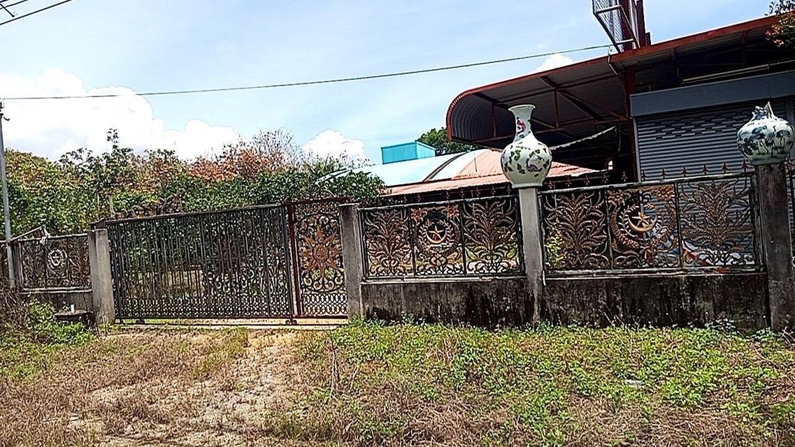 ขายที่ดินและอาคาร 5