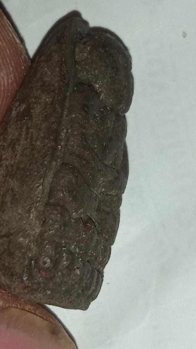 พระเครื่อง พระเหรียญ พระเนื้อผง พระกริ่งสมเด็จย่า หลวงปู่ทวด