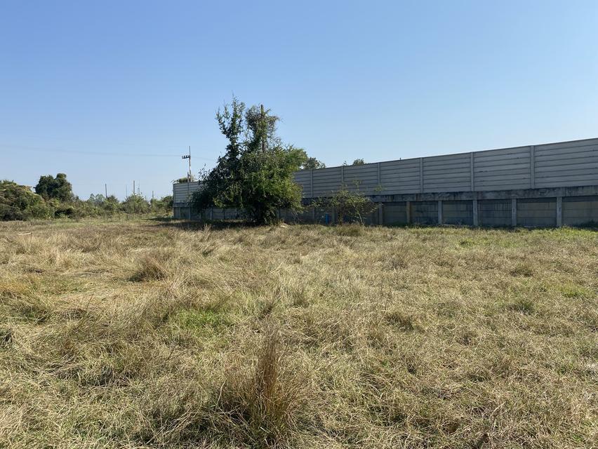 ขายที่ดิน 125 ตรว จังหวัด ลำพูน ต มะเขือแจ้ อ เมือง  ขาย 250,000 2