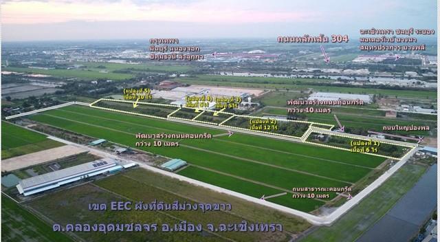 ขายที่ดิน 40 ไร่ เขต EEC ถมที่ดินให้ฟรี เสมอถนนคลองอุดมชลจร เมืองฉะเชิงเทรา เหมาะสร้างโรงงานทุกประเภท 1