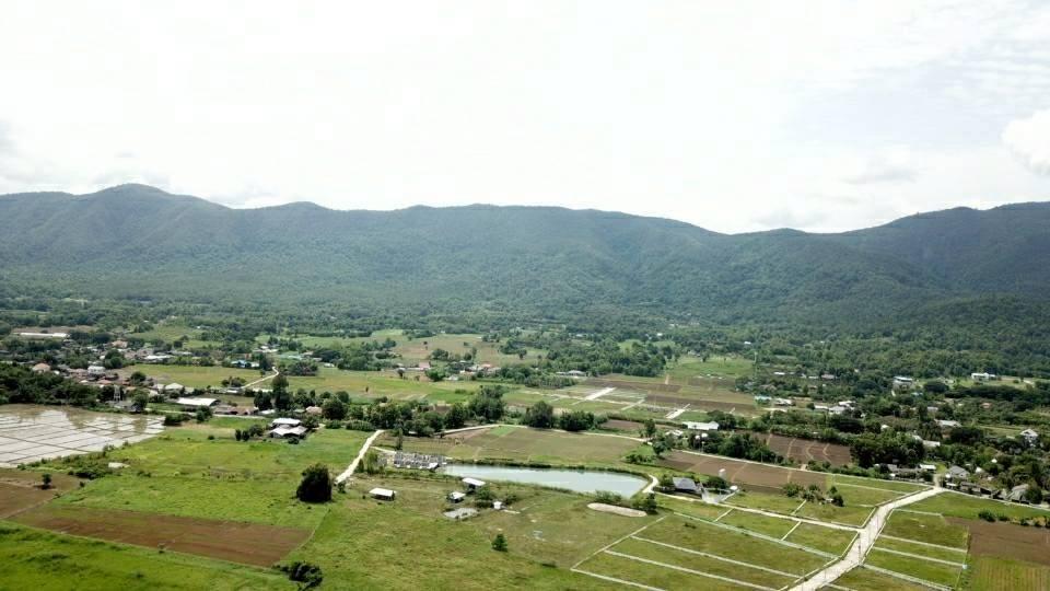 ขายที่ดิน ออนกลาง สันกำแพง 1