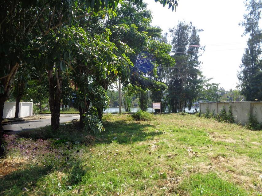 🚩 ขายที่ดินแปลงหัวมุม 129 ตารางวา ราคาถูกสุด❗ ทำเลดี ภายในโครงการหรูมีระดับ 18