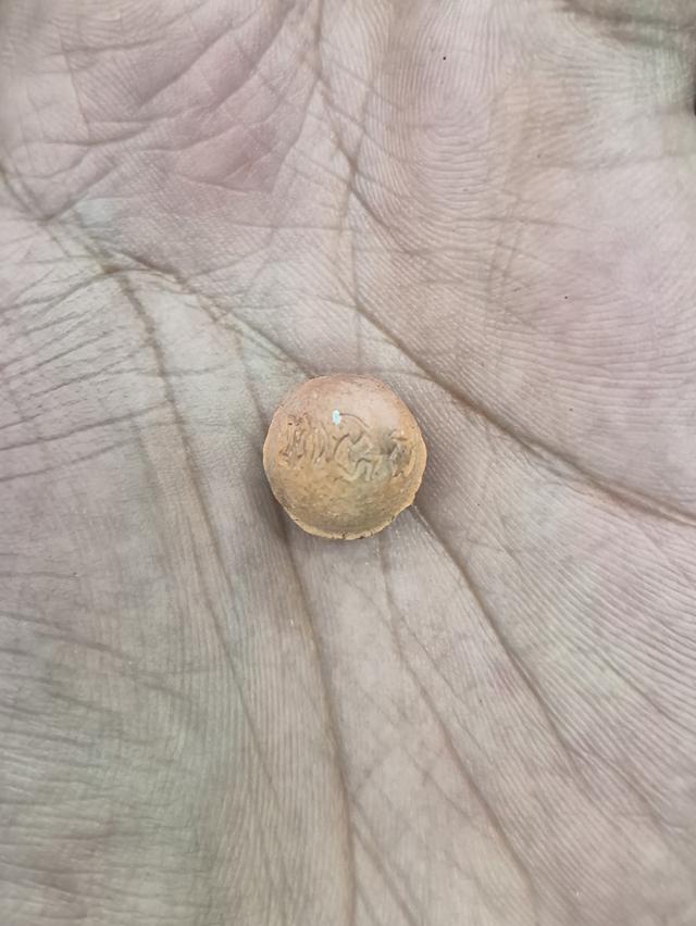 ลูกอมปัฐวีธาตุ รุ่นแซยิด82ปี หลวงปู่หงษ ์พรหมปัญโญ รูปย่อยที่ 3