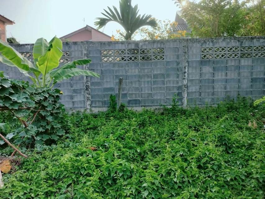 ขายที่ดิน 48 ตารางวา ติดถนนสาธารณะ2ด้าน+แปลงมุม สุวินทวงศ์13 แยก6 6