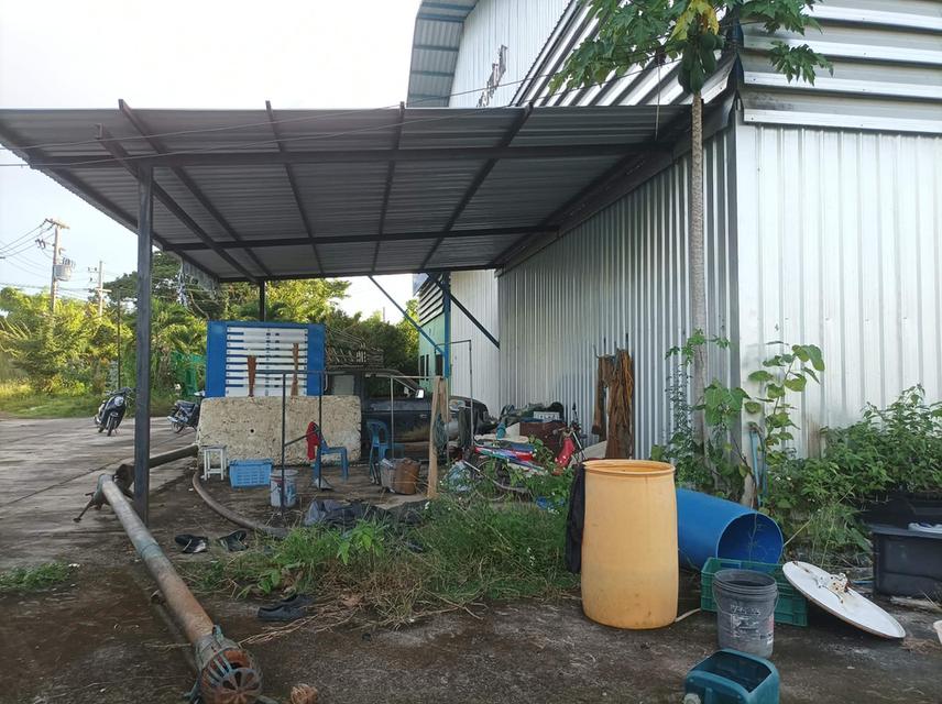 ขายที่ดิน(โรงงานเก่า) ต.แม่คือ อ.ดอยสะเก็ด จ.เชียงใหม่ 9