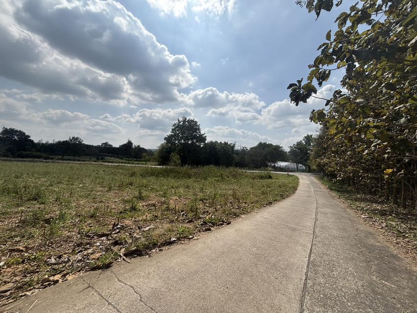 ที่ดินเปล่า ด้านหลังอำเภอ วังน้ำเขียว แบ่งขาย ได้ 8