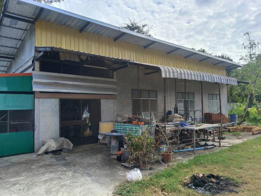 ขายบ้านพร้อมที่ดิน 2 ไร่ 40 ตรว. 4