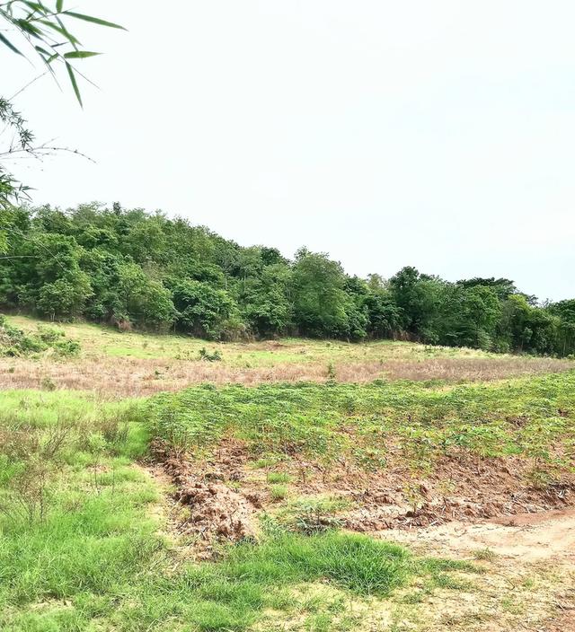 ที่ดินใกล้ถนนสายหลัก อ.น้ำปาด อุตรดิตถ์ 2