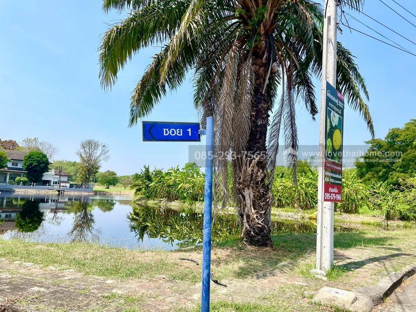 ขายที่ดิน ซอยประชาร่วมใจ31 หมู่บ้านกฤษดานคร25 พื้นที่ 212 ตารางวา ถมแล้ว ถนนเมน ขายถูกเท่าราคาประเมิน เพียง 18,000 บาท/ตรว.เท่านั้น 6