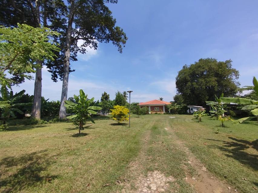 ขายบ้านเดี่ยวชั้นเดียวพร้อมที่ดิน ต.หนองกบ อ.บ้านโป่ง จ.ราชบุรี ทำเลดี เดินทางสะดวก 3