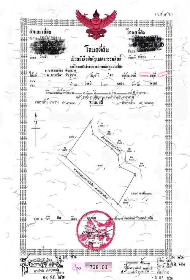 สวนทุเรียน 40 ปี (9-1-43 ไร่) หน้ากว้าง 180 เมตร 2