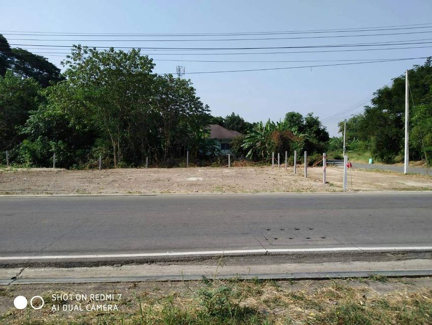 ที่ดิน 3