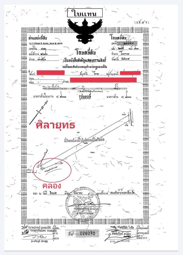 ขายที่นา 18 ไร่ 3 งาน 42 ตารางวา 1