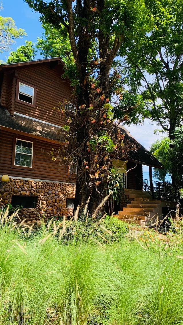 ขายและให้เช่าบ้านไม้สัก หนึ่งไร่กว่า สันกำแพง เชียงใหม่ sale and rent Wooden House area 600 sq.wa about 1 Rai at Sankamphang,Chiangmai 2