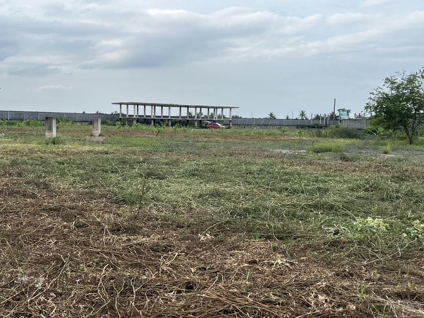 🌿 Land for sale in a fast-developing zone, by owner, title deed ready to transfer, no mortgage 8