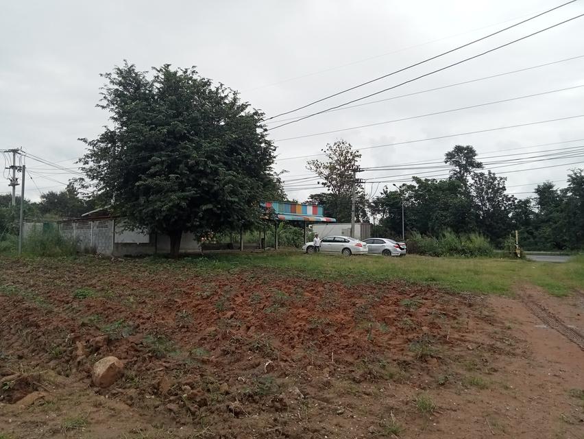 ขายที่ดิน ปักธงชัย ใกล้สหกรณ์ ลาน3 7