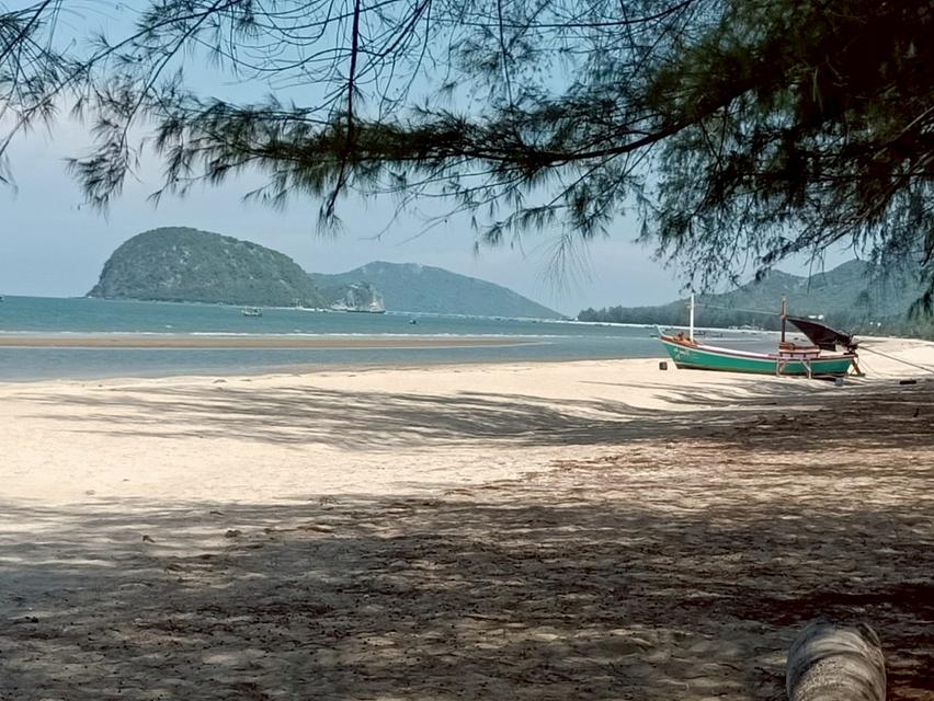 ขายที่ดินเปล่า ถมแล้ว 2ไร่ 1งาน 24 ตร.ว. อำเภอสามร้อยยอด จังหวัดประจวบคีรีขันต์ 11