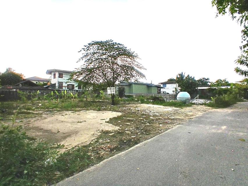 ที่ดิน  ใกล้รถไฟฟ้าสายสีชมพู รามอินทรา65 แยก 2-2-6 3