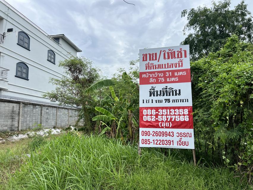 ที่ดินเปล่า อ.อู่ทอง จ.สุพรรณบุรี 2