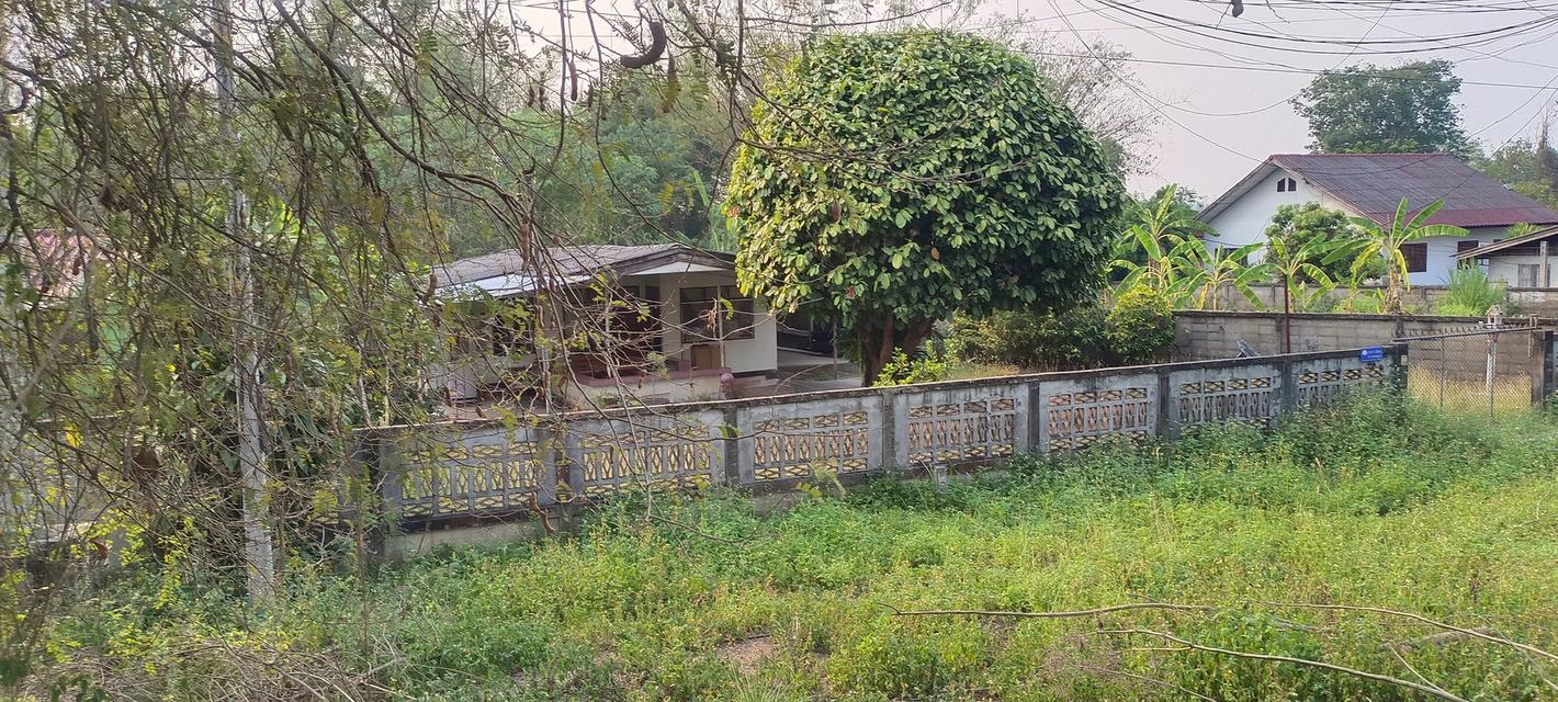 บ้านพร้อมที่ดิน หลุดสัญญาขายฝาก 1