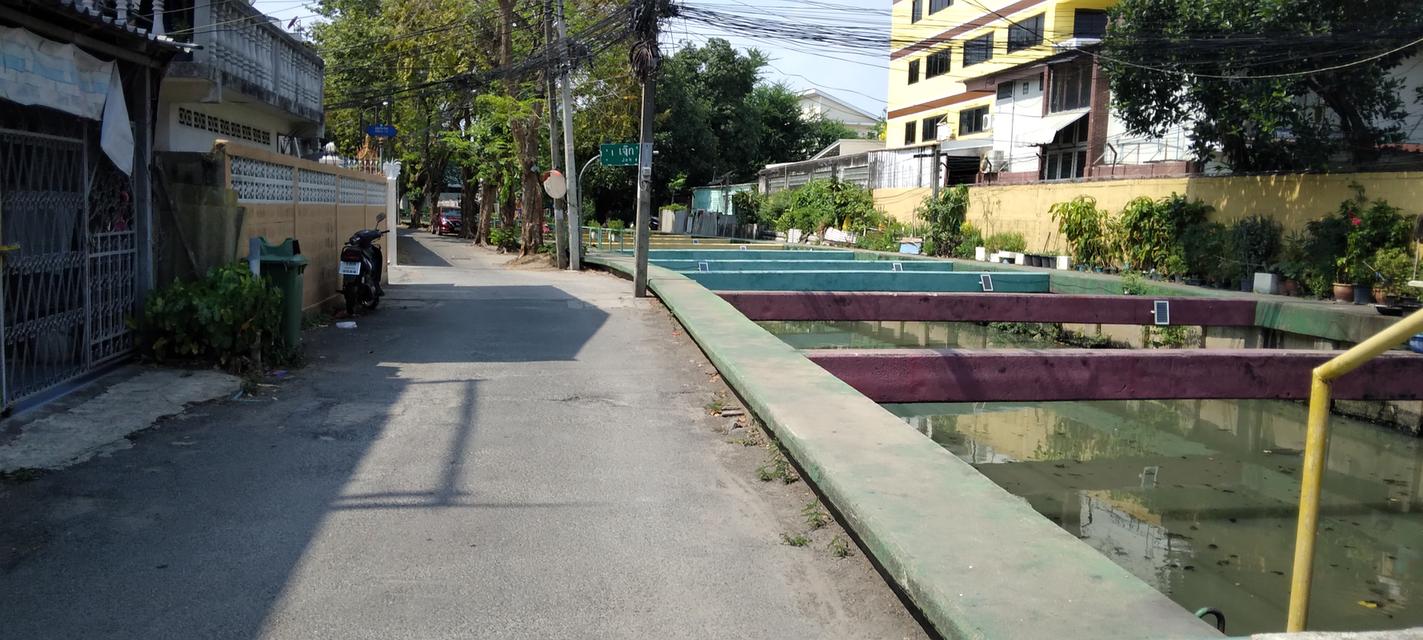 Sale Land for House deep soi but near Express way and BTS On Nut Sukhumvit 54 old wooden House on sale Sukhuvmit 50-56 BTS On-Nut 2