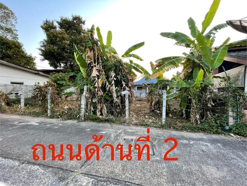 ขายที่ดินสวย ใกล้แม่น้ำโขง ใจกลางเมืองเชียงของ ตำบลเวียง 8