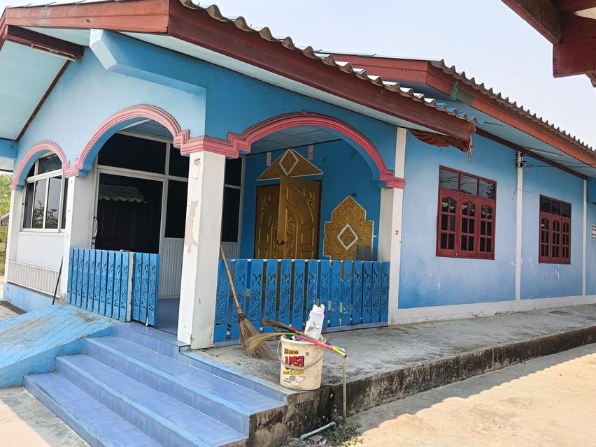 ขายด่วนบ้าน2หลังที่ดิน2ไร่เขตชุมชนติดถนนลาดยางน้ำไม่ท่วมไม่มีประวัติอยู่ไกล้ม. ราชมงคลสุวรรณภูมิสามชุกจ. สุพรรณขาย2. 55ล. สนใจ0894109810เจ้าของโดยตรง 14