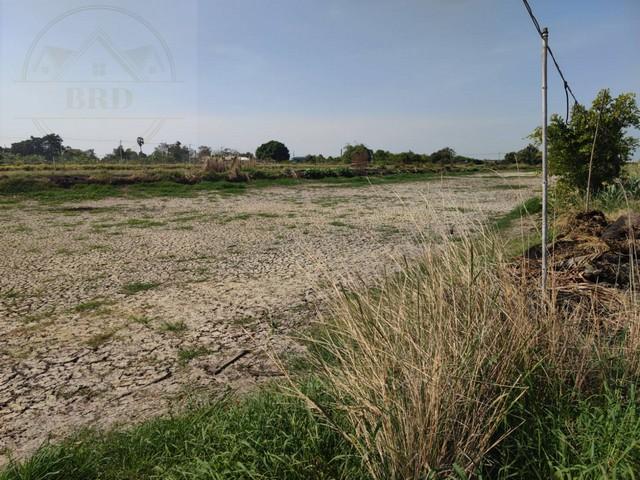 ขายที่ดินทำเลสร้างโกดัง โซนนิคมเอเชียสุวรรณภูมิ – บางบ่อ สมุทรปราการ เนื้อที่ 2 ไร่ ขายไร่ละ 2.5 ล้าน อ.บางบ่อ สมุทรปราการ 4