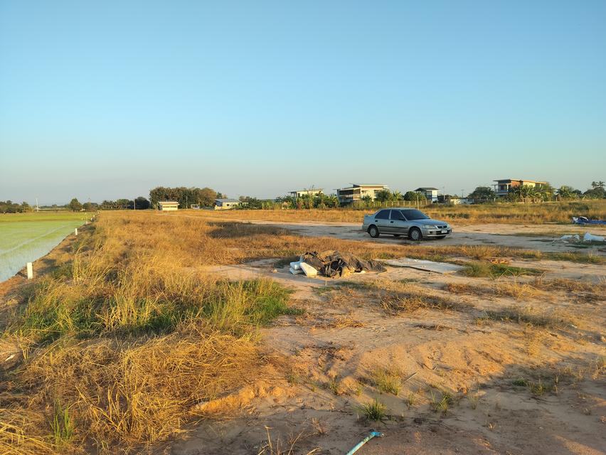 ที่ดินเปล่าถมแล้วแบ่งล๊อคๆล่ะ2งาน 1