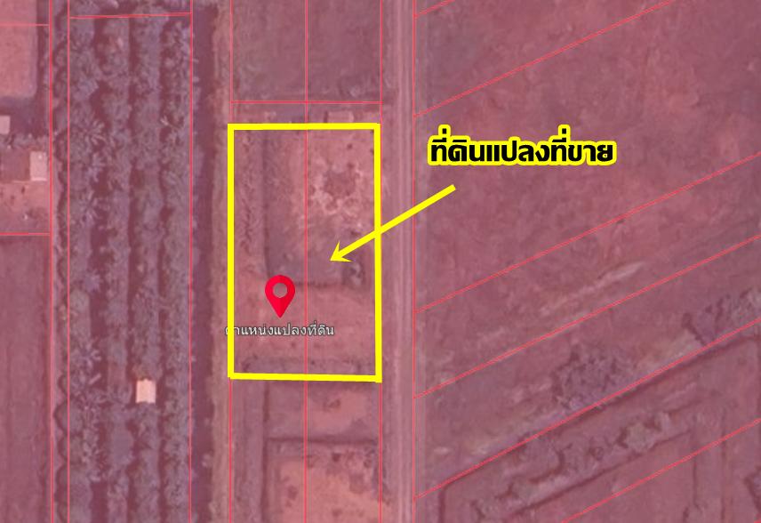 ขายที่ดินคลอง 11ซอยปลายนาร่วมฤดี 1 ใกล้วัดป่าคลอง1 หนองเสือ ปทุมธานี 6