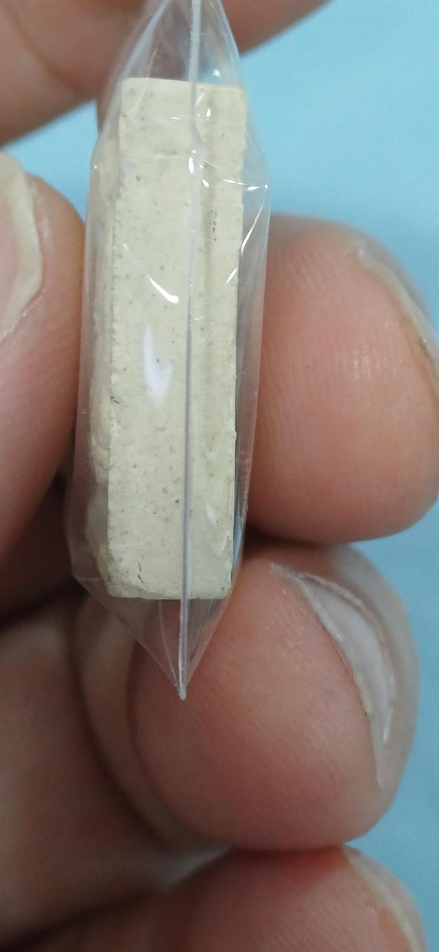 พระคำข้าว หลวงปู่ฤาษีลิงดำ รูปที่ 6