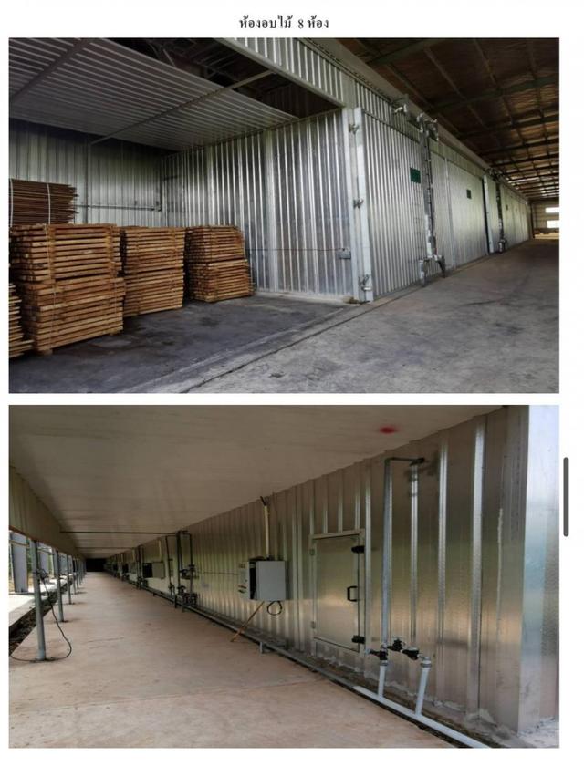 ขายด่วน! โรงงาน อ.เมือง บึงกาฬ เนื้อที่ 8 ไร่ 2 งาน (ขยายได้ถึง 20 ไร่) ต่ำกว่าราคาประเมินเกือบ 15 ล้าน | โรงงานไม้ยางพา 5