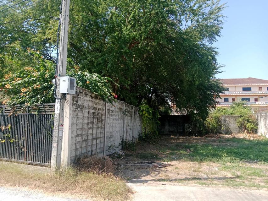 ขายที่ดิน 78 ตารางวา 4