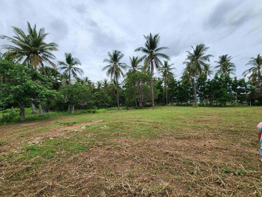 🌟 Land for Sale – Prime Location 🌟 6