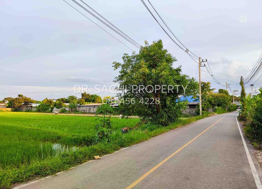 #ขายที่ดินสวยเชียงราย ทำเลดี ใกล้ ถ.บายพาสตะวันออก เพียง 1 กม. สนามบินเชียงราย (13-2-50.3 ไร่ ) 4