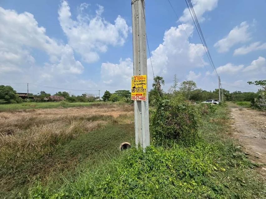 Vายที่ดิน 400 ตารางวา ประชาสำราญ แขวงคลอง12 ตะวันออก เขตหนองจอก กรุงเทพมหานคร 4