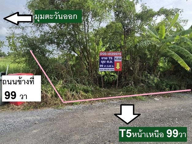 ขายที่ดินแปลงจัดสรรพหล สายไหมอีกแปลง 99 ตารางวา แปลงสวยประจำซ.ตาลเดี่ยว แปลงมุมทิศตะวันออก หน้าทิศเหนือ สุดท้ายที่สวยสุด 8