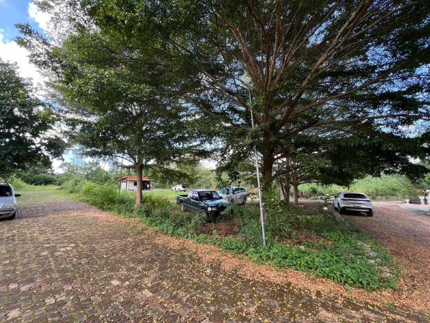 ให้เช่าที่ดิน / ขาย เขาใหญ่ 3 งาน 56 ตร.ว. วิวภูเขา ต.หมูสี ปากช่อง นครราชสีมา  4