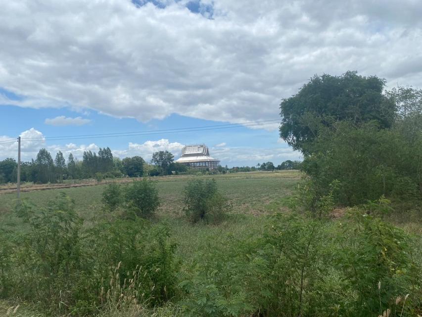 ขายที่ 4 ไร่ไร่ละ 300000 ตลิ่งชัน สุพรรณบุรี 2