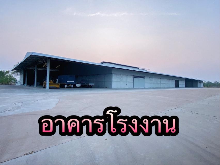 ที่ดินพร้อมโรงงาน อ.ยางตลาด กาฬสินธุ์ 7