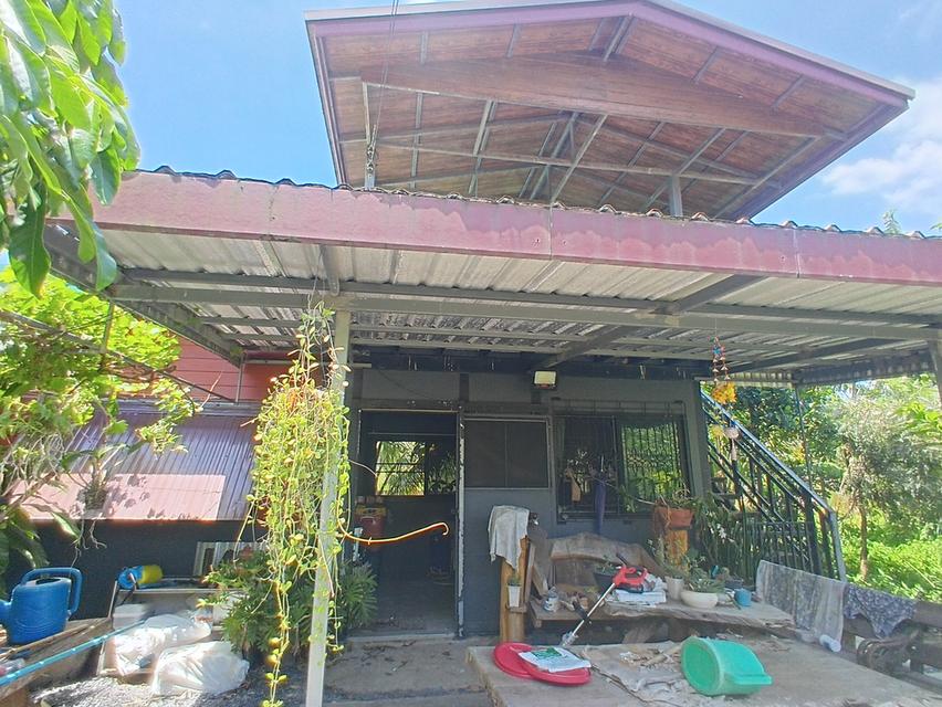 ขายที่ดินพร้อมสิ่งปลูกสร้าง 3 หลัง เนื้อที่ 2 ไร่ ประชาสำราญ หนองจอก กรุงเทพมหานคร 6