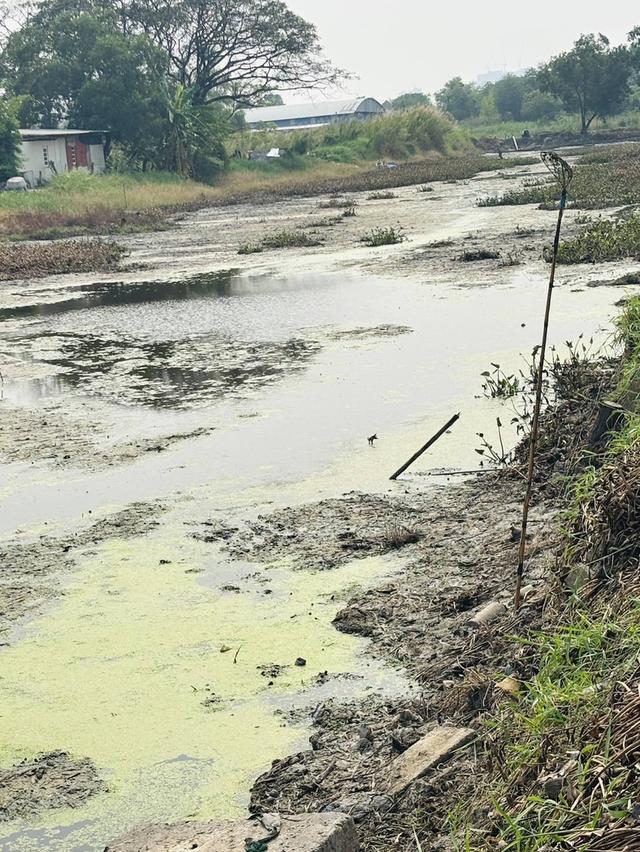 ขายที่ดินบ่อปลา มีนบุรี หทัยราษฎร์ ขนาด 8-3-36 ไร่ 6