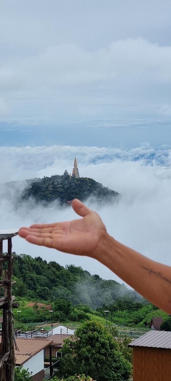 ที่ดินแถมต้นอินทผลัม ทางขึ้นภูทับเบิก 17